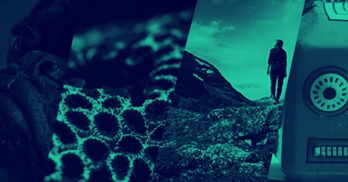 How Net Zero Gresham College